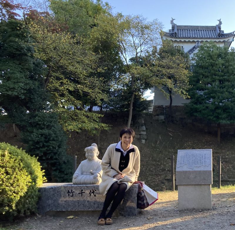 Aichi Private Tour - Okazaki Castle