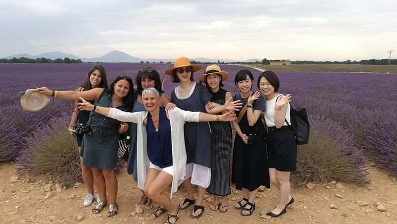 Marseille Private Tour - Lavender field