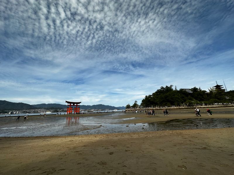 Hiroshima Private Tour - Great Torii Gate (Low Tide)