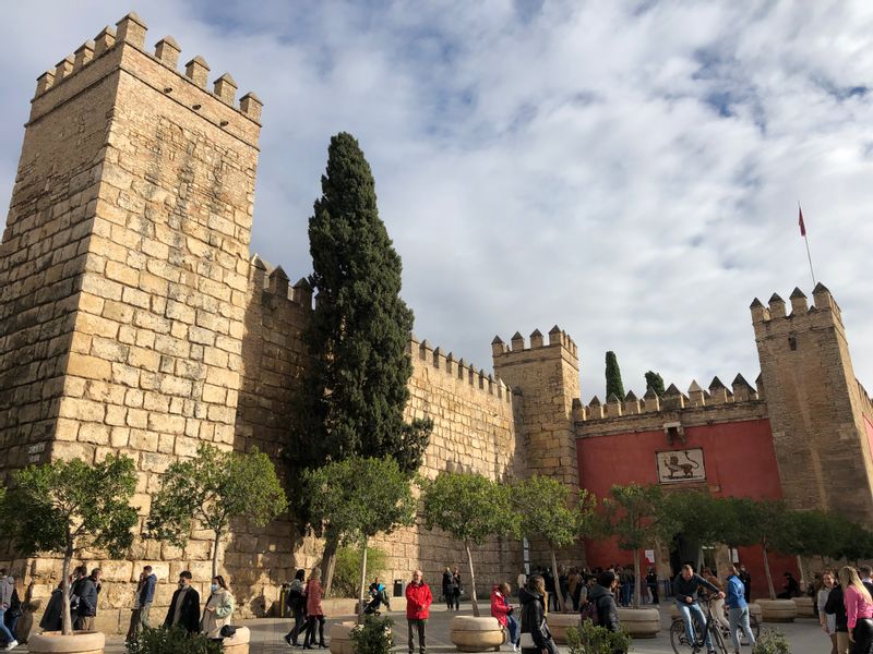 Seville Private Tour - null