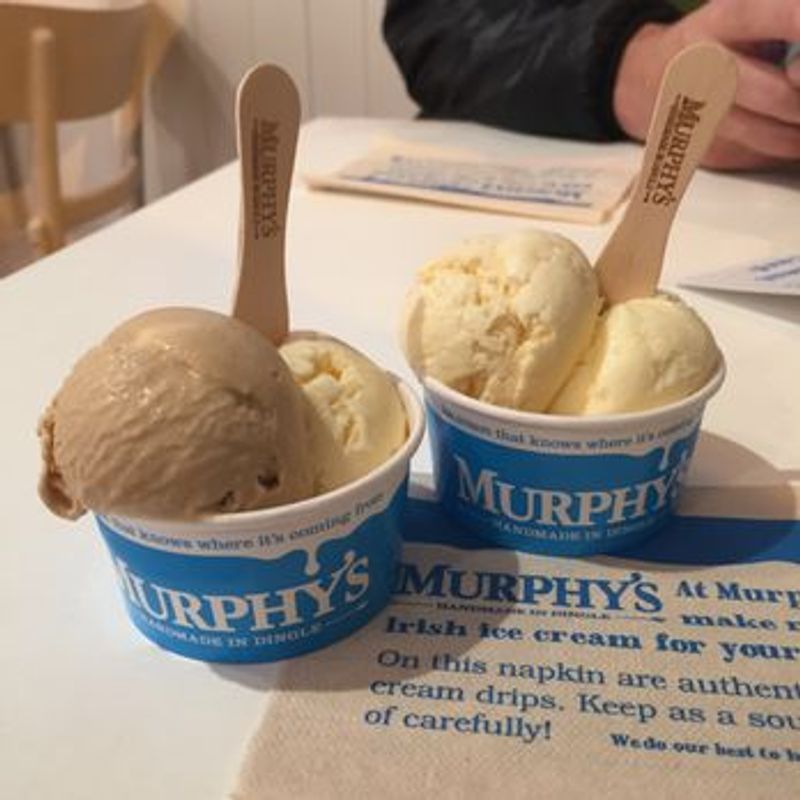 Dublin Private Tour - Murphy's famous Irish Ice Cream - made in Kerry - Southern Ireland