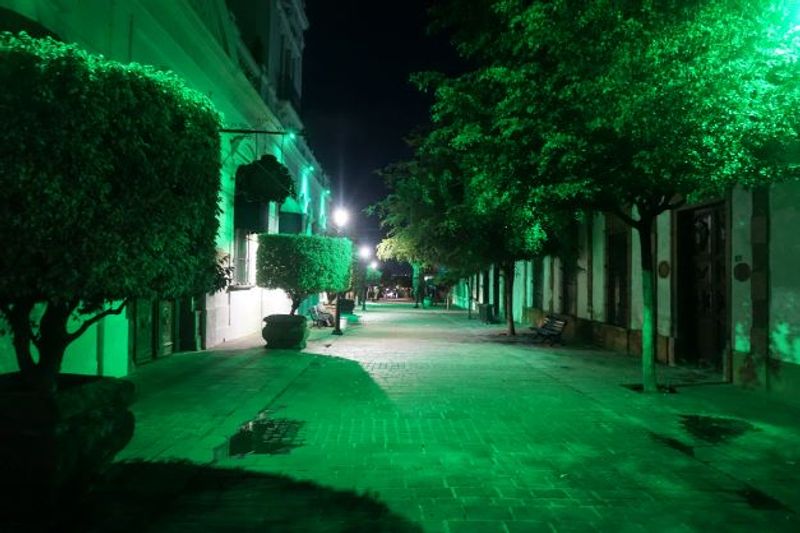 Guadalajara Private Tour - Andador Independencia.The popular tourist walkway of Tlaquepaque is bathed in colorful lights at night.