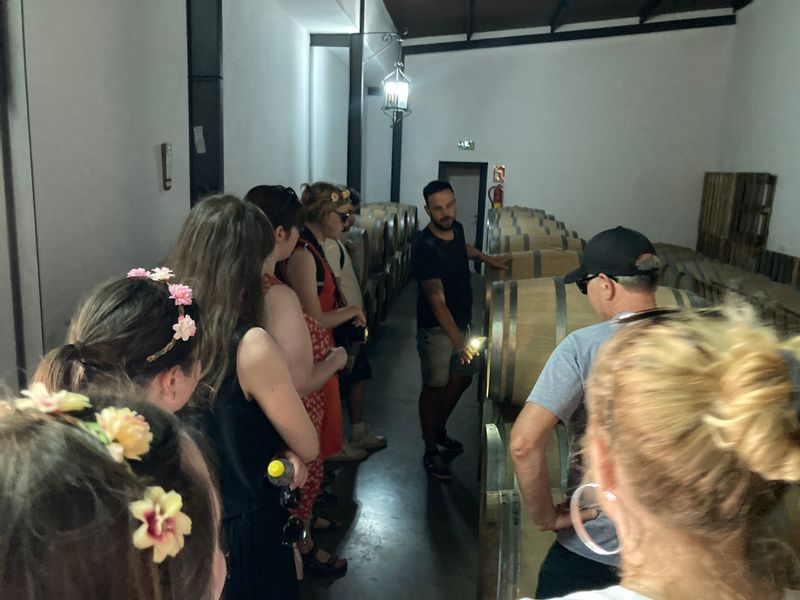 Malaga Private Tour - aging room visit