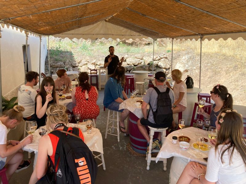 Malaga Private Tour - tasting in patio