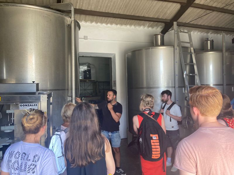 Malaga Private Tour - cellar visit