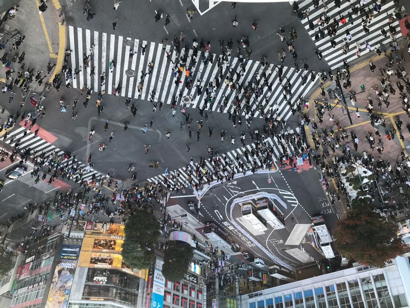 Tokyo Private Tour - Shibuya Crossing