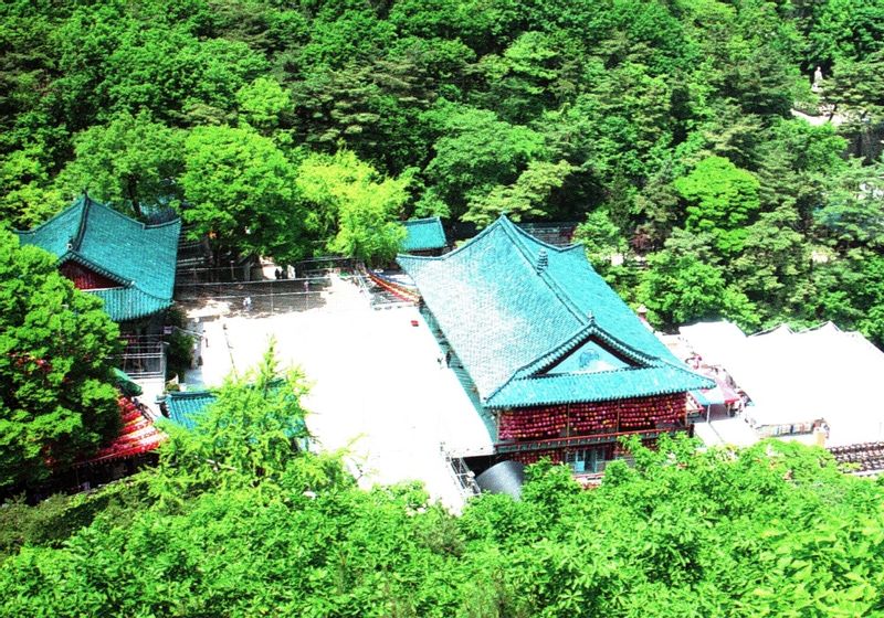 Seoul Private Tour - View of the complex and thick forest, from a cliff above.