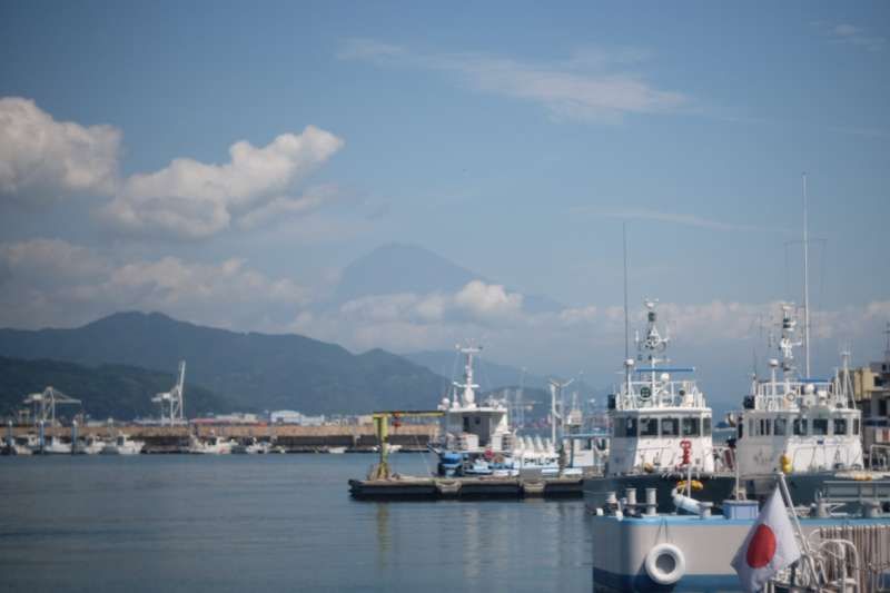 Shimizu Private Tour - Shimizu Port in summer, with Mt. Fuji in the background