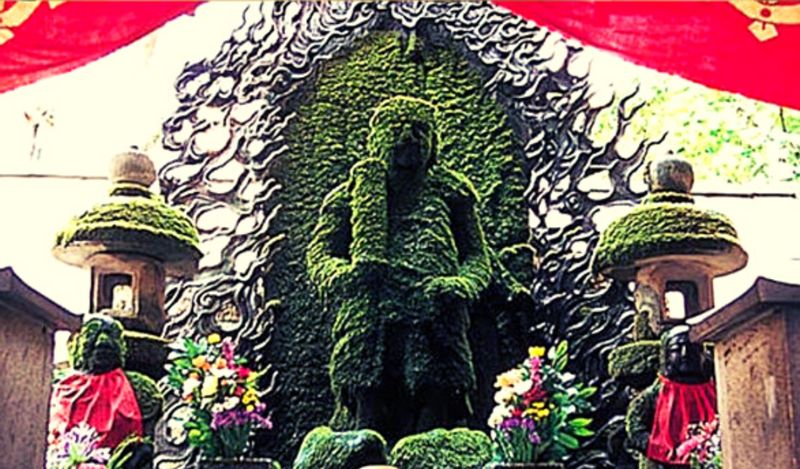 Osaka Private Tour - I promise only 1 shrine! This one is truly unique...covered in moss. Nearby Kyoto has many more historic and beautiful shrines and temples