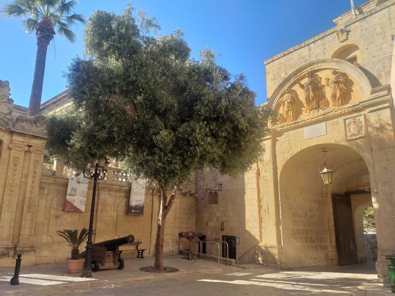 Malta Private Tour - Mdina- The  Silent City