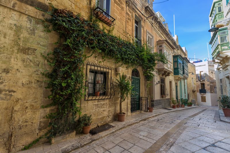 Malta Private Tour - null