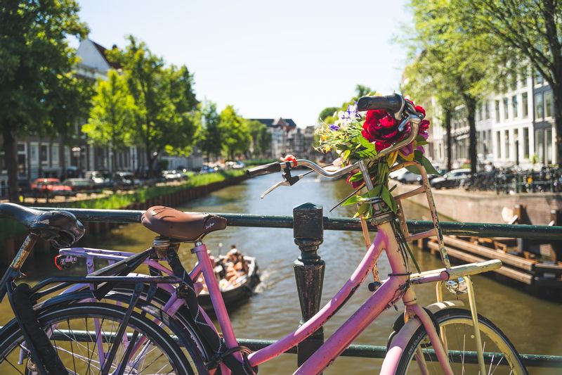 Amsterdam Private Tour - null