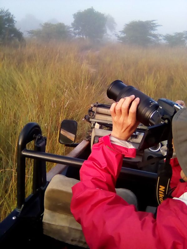 Livingstone Private Tour - Zooming on a bird species