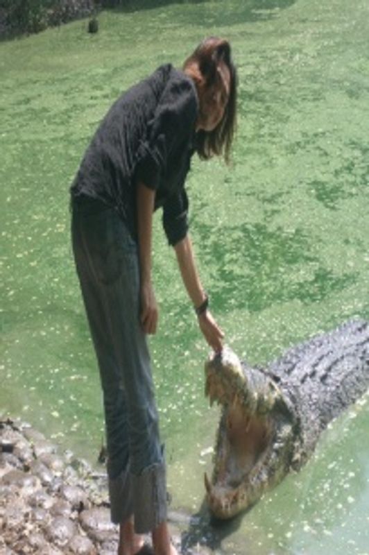 Jakarta Private Tour - Touching head of crocodile