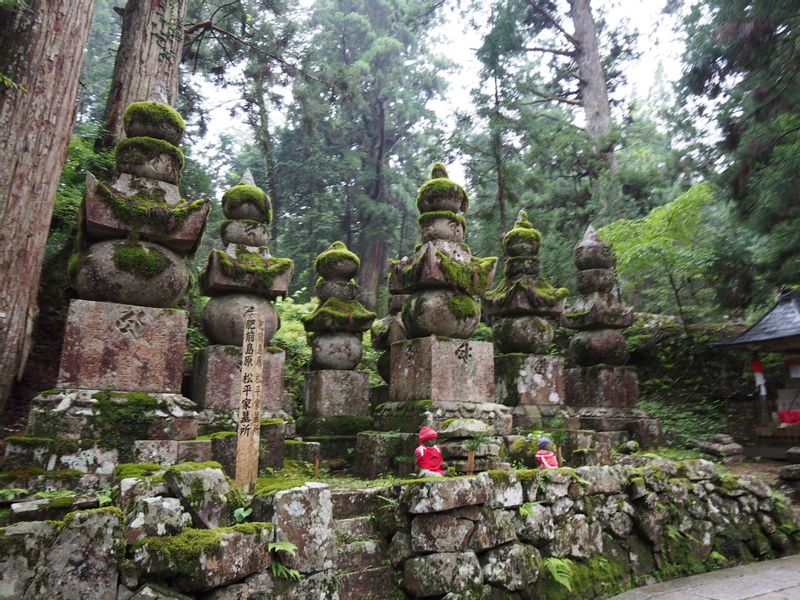 Mount Koya Private Tour - null