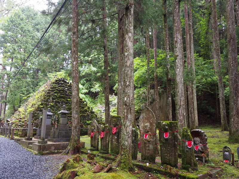 Mount Koya Private Tour - null