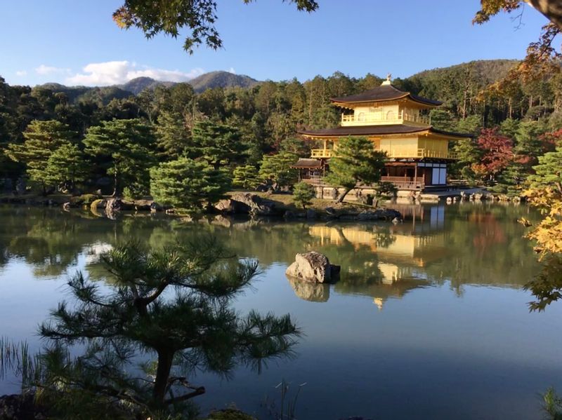 Kyoto Private Tour - Kinkakuji Temple