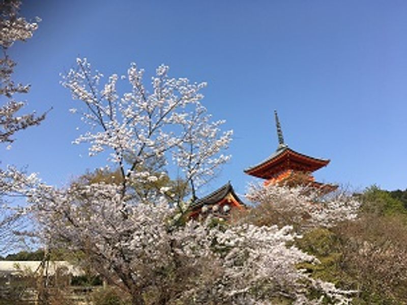 Kyoto Private Tour - Kiyomizu-dera Temple