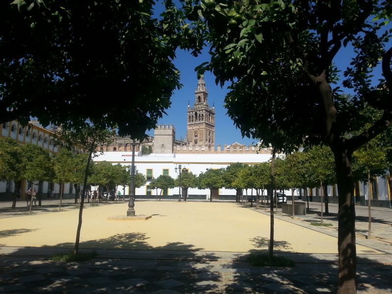 Seville Private Tour - Patio de Banderas