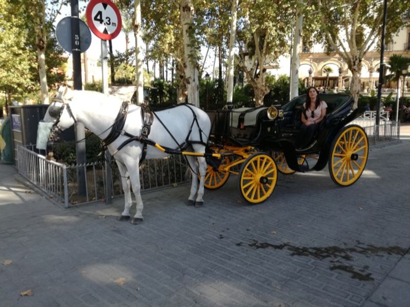 Seville Private Tour - READY FOR THE RIDE?