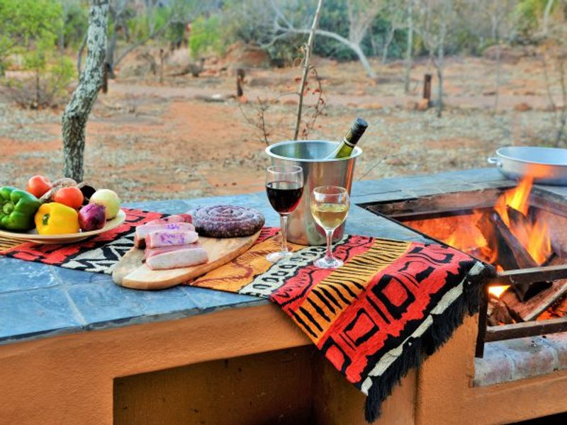 Johannesburg Private Tour - Pilanesberg Bush Braai Lunch