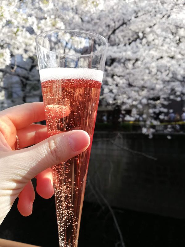 Tokyo Private Tour - Sakura  season in Tokyo