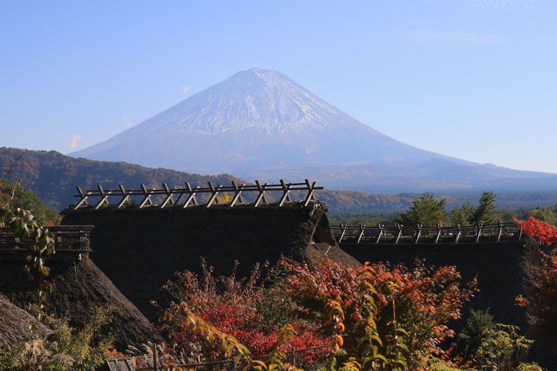 Tokyo Private Tour - View of Mt. Fuji from Saiko Iyashi no Sato Nemba..