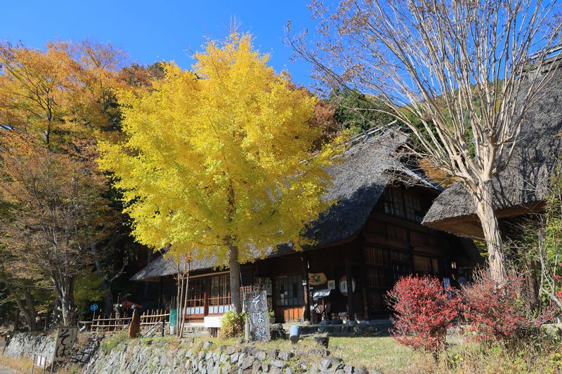 Tokyo Private Tour - Thached roof house at Saiko Iyashi no Sato Nemba.
Several good quality Japanese restautants are located here. Good places for lunch.