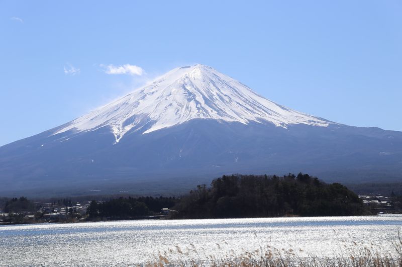 Tokyo Private Tour - Mt. Fuji over Lake Kawaguchiko at Oishi Park.
On the west side of Oishi Park “Flowers road”, you can enjoy colorful flowers throughout the season.