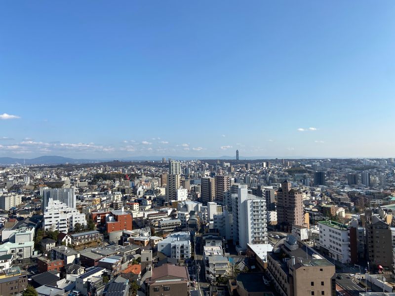 Aichi Private Tour - View of East