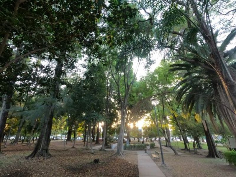 Guadalajara Private Tour - A park in Colonia Providencia.