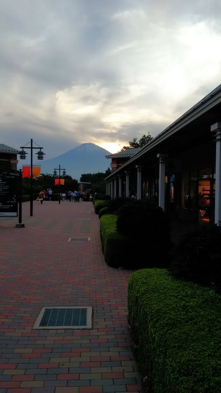 Tokyo Private Tour - Mt. Fuji from the outlets in Gotemba (option)