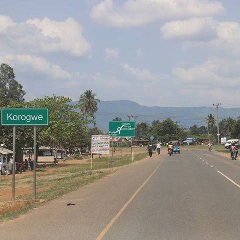 Tanga Private Tour - Korogwe town on the highway 