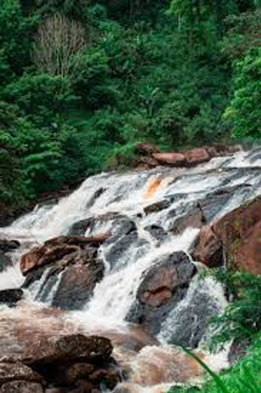 Tanga Private Tour - Various waterfalls in Amani Nature Reserve 