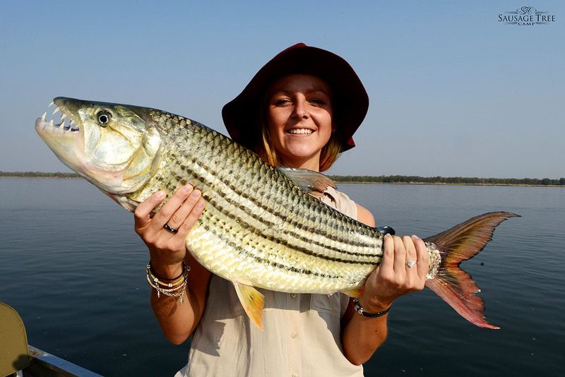 Livingstone Private Tour - Look at this big Tiger Fish! The world’s most prized freshwater fish because of its fierce fighting nature.