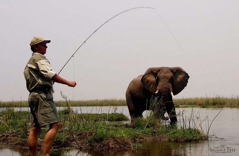 Livingstone Private Tour - Fishing whilst viewing elephants at close range is cool.