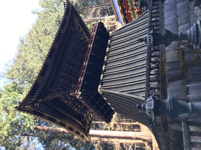 Tokyo Private Tour - Architectures and arts are what entitle Nikko as Japan's key Cultural World Heritage.