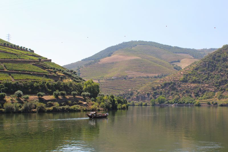 Porto Private Tour - Pinhão