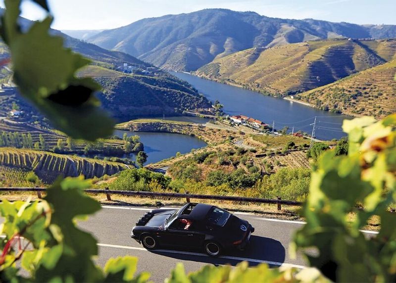 Porto Private Tour - Douro Road