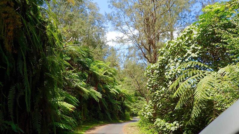 East Nusa Tenggara Private Tour - Entrance road to Kelimutu