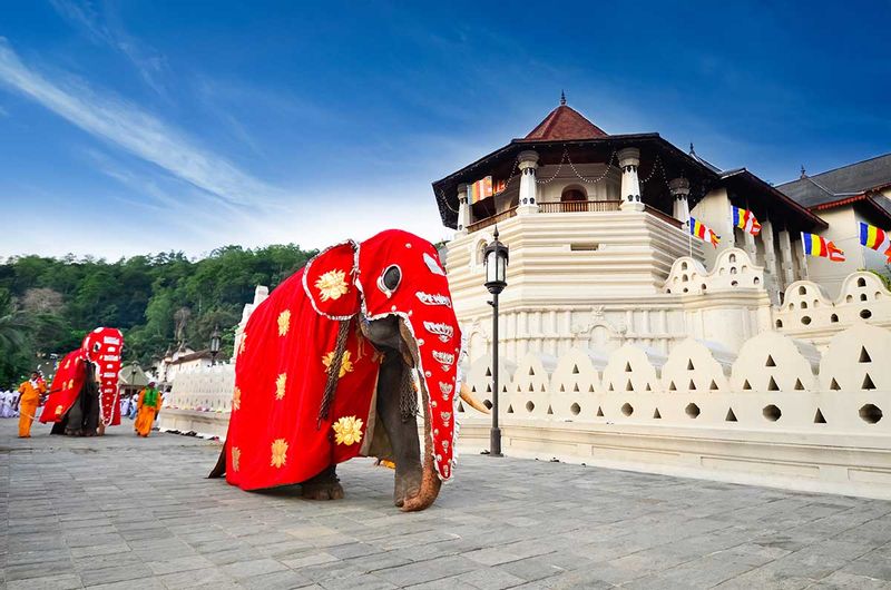 Colombo Private Tour - Kandy, Temple of the Tooth Relic