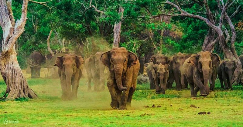 Colombo Private Tour - Udawalawe National Park