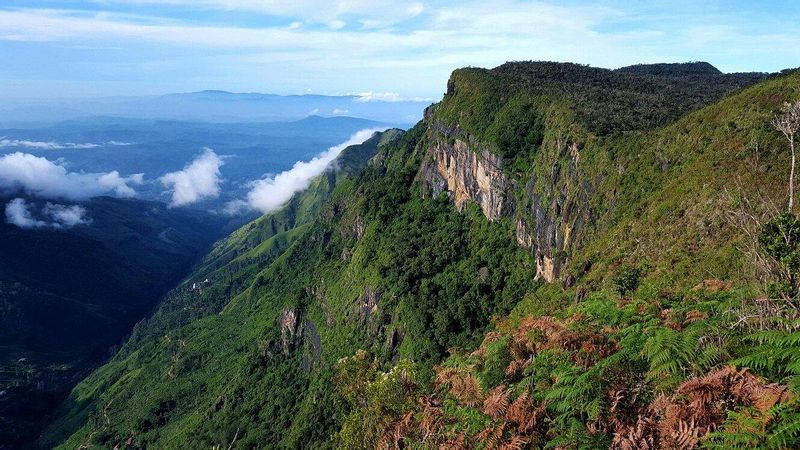 Colombo Private Tour - Horton Plains