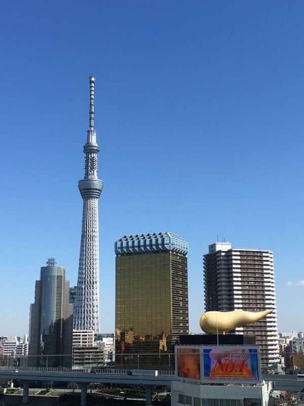 Tokyo Private Tour - Tokyo Sky Tree and Asahi Beer