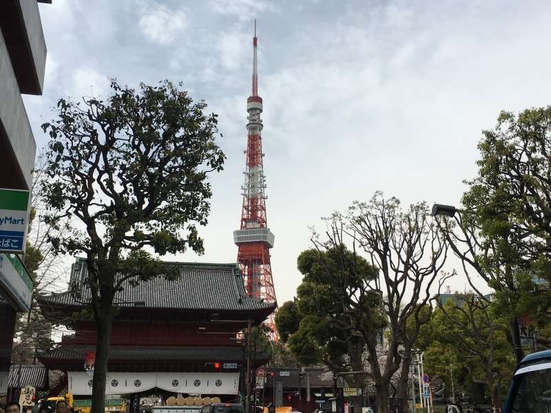 Tokyo Private Tour - Zojoji and Tokyo Tower 