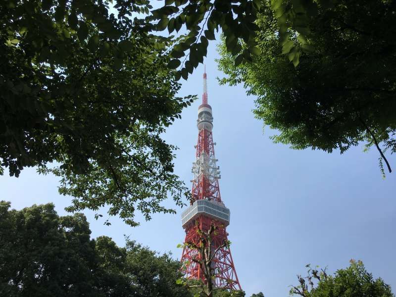 Tokyo Private Tour - Tokyo Tower 

