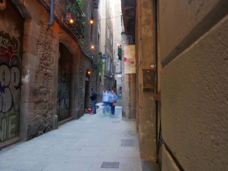Barcelona Private Tour - Gothic Quarter. Barcelona.