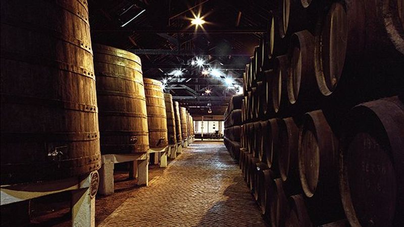 Porto Private Tour - Port Wine Cellar