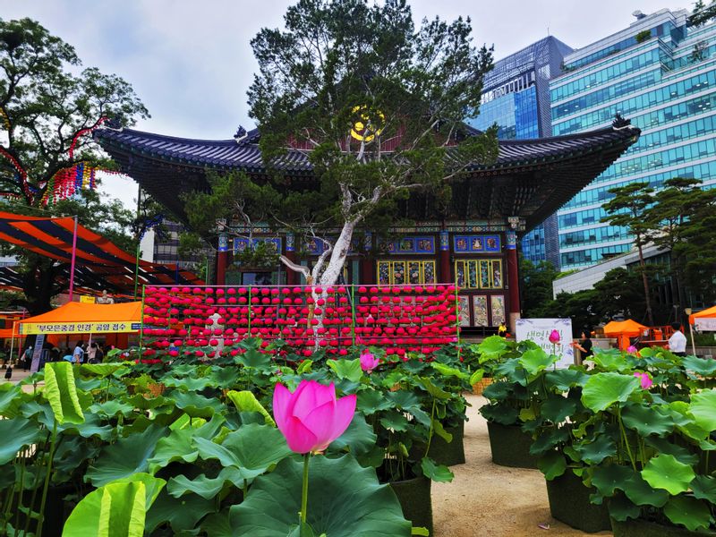 Seoul Private Tour - Jogyesa temple