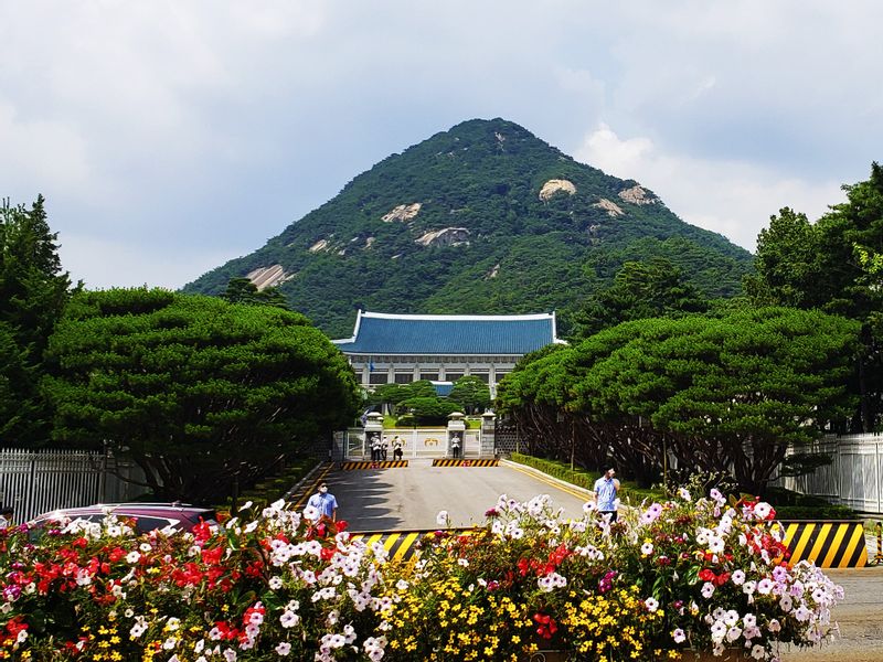 Seoul Private Tour - Cheongwadae (Blue house)